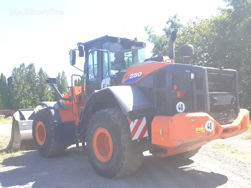 Wheel loader Hitachi ZW250-6