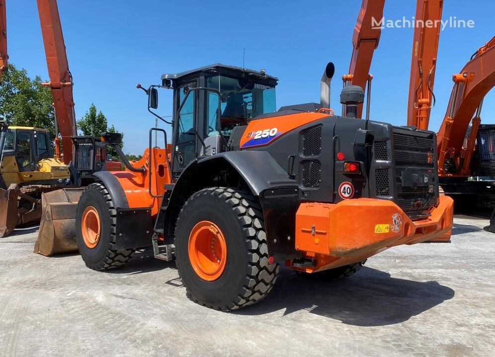 Wheel loader Hitachi ZW 250-6