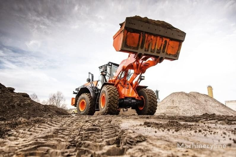 Wheel loader Hitachi ZW 250-6