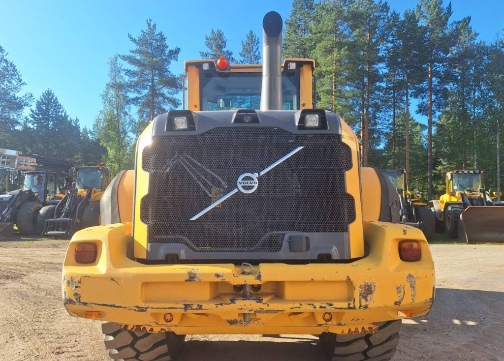 Wheel loader Volvo L110G VAAKA, RASVARI YM.