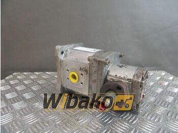 Hydraulic pump CASE