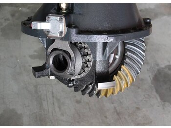 Differential gear DAF