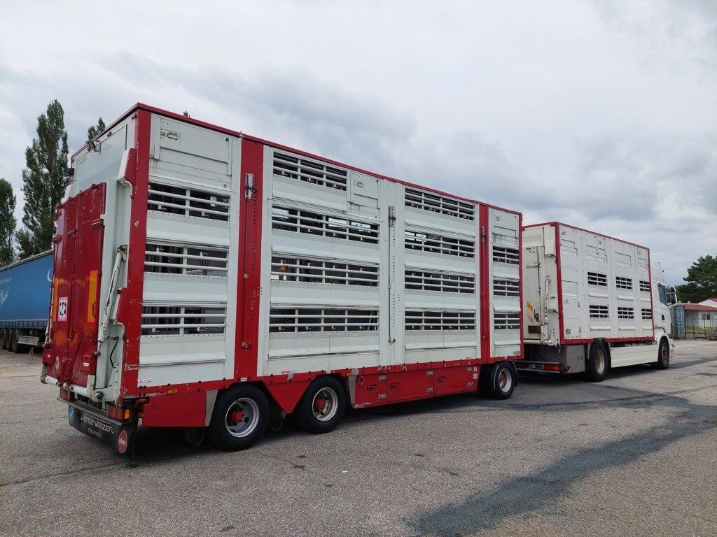 Livestock truck Pezzaioli RBA31-C tříosý