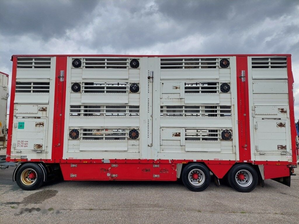 Livestock truck Pezzaioli RBA31-C tříosý