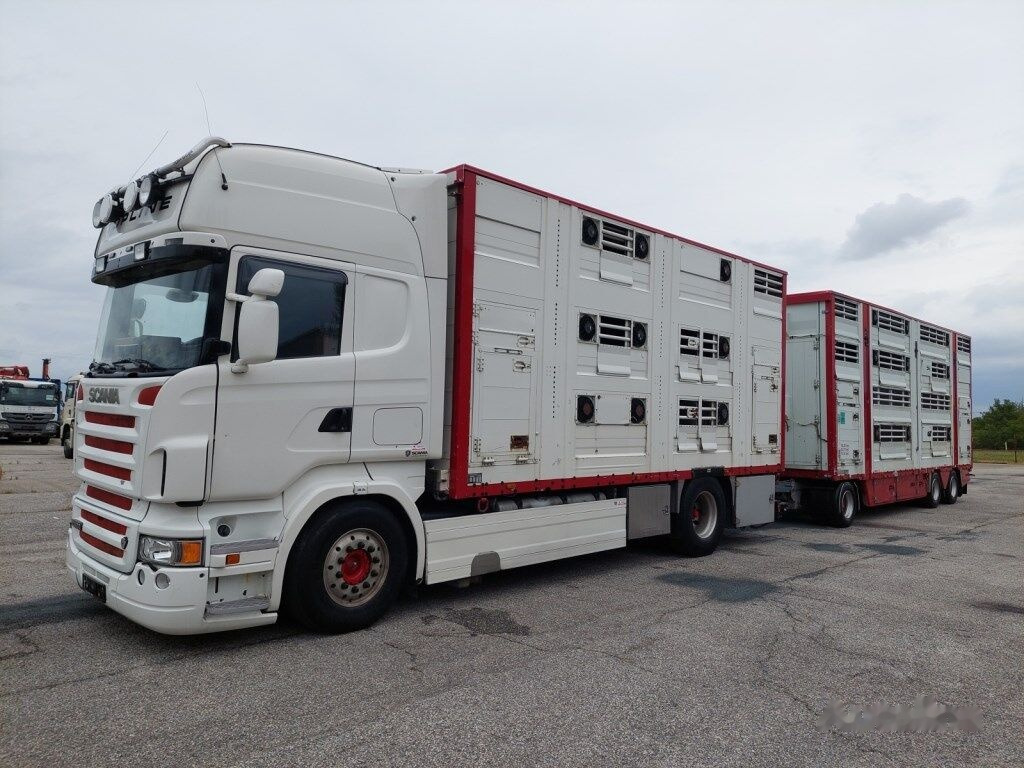 Livestock truck Pezzaioli RBA31-C tříosý