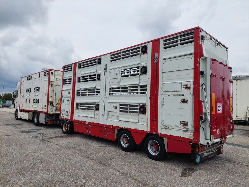 Livestock truck Pezzaioli RBA31-C tříosý