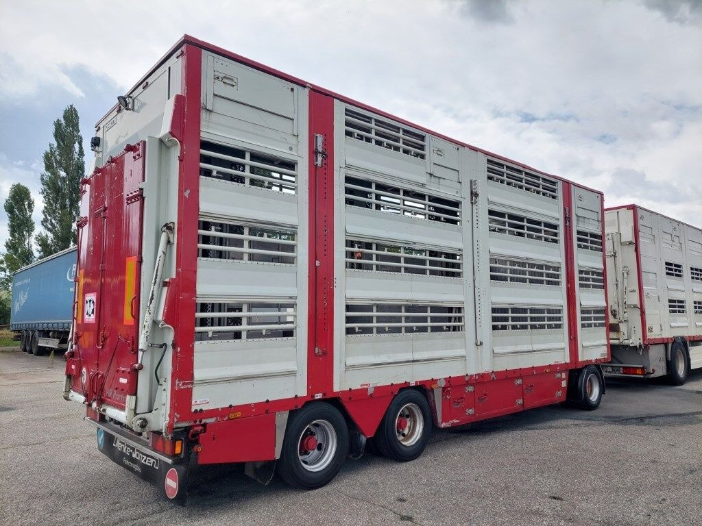 Livestock truck Pezzaioli RBA31-C tříosý