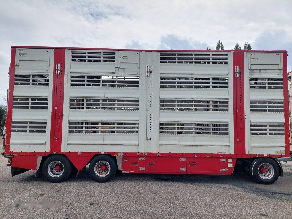 Livestock truck Pezzaioli RBA31-C tříosý