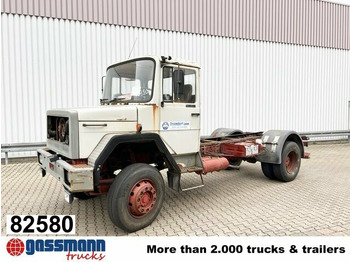 Crane truck IVECO