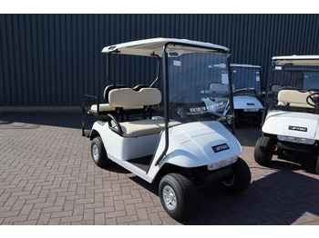 Golf cart BRINGO DG-C2 Valid Inspection, *Guarantee! Dutch R: picture 5