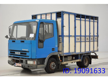 Livestock truck IVECO