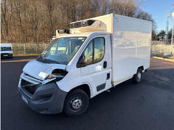 Refrigerated van FIAT Ducato