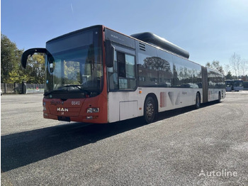 Articulated bus MAN Lion's City GL: picture 3