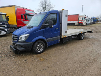 Panel van MERCEDES-BENZ Sprinter 319