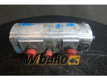 Hydraulic pump