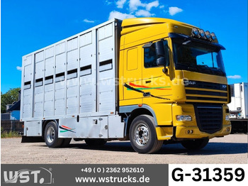 Livestock truck DAF XF