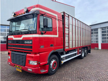 Livestock truck DAF XF FAR 95XF.380 EURO 2: picture 3