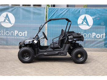 New Golf cart Wextrem UTV-ATV 200 Pro: picture 2