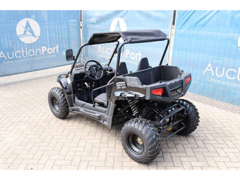 New Golf cart Wextrem UTV-ATV 200 Pro: picture 3