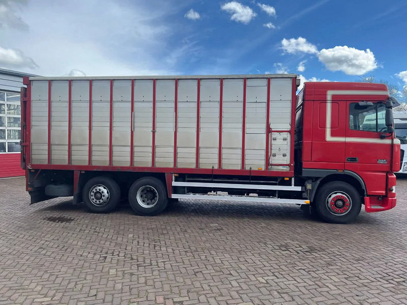 Livestock truck DAF XF FAR 95XF.380 EURO 2: picture 6