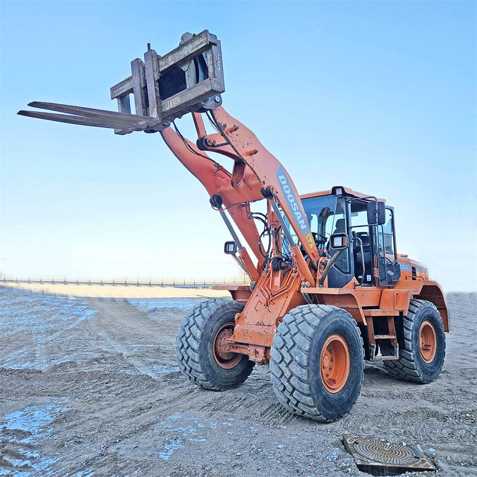 Wheel loader Doosan DL200-3: picture 29