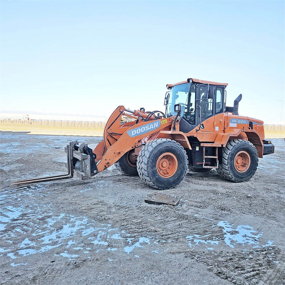 Wheel loader Doosan DL200-3: picture 13