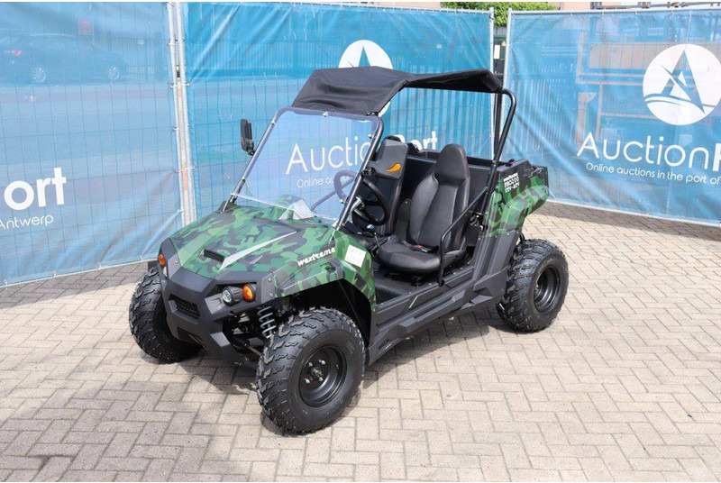 New Golf cart Wextrem UTV-ATV 200Pro: picture 8